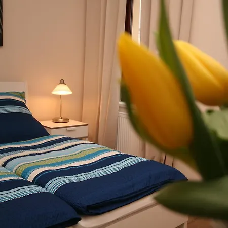 Guest house Alba